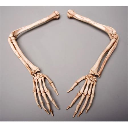 Skeletons And More SM370DRA Aged Right Skeleton Arm